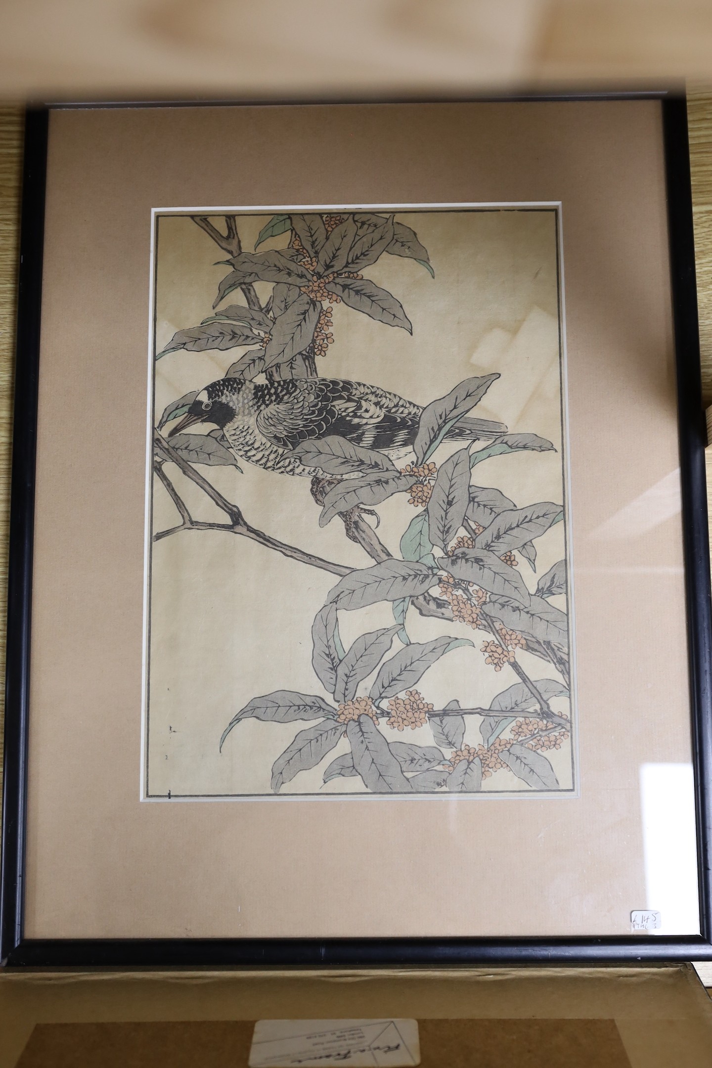 Imao Keinen (Japanese, 1845-1924), three woodblock prints, Studies of birds and flowers, 32 x 23cm